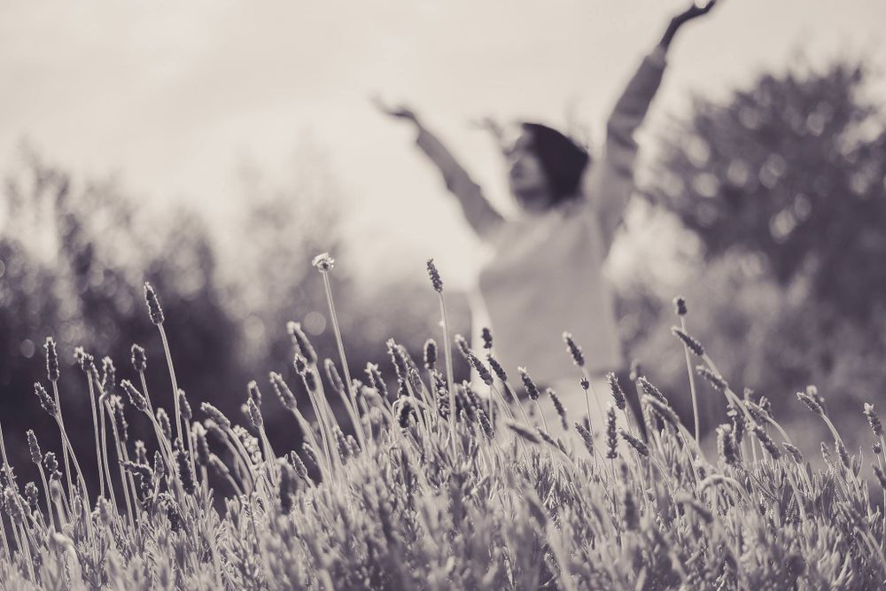 modelling photography in a field of lavender