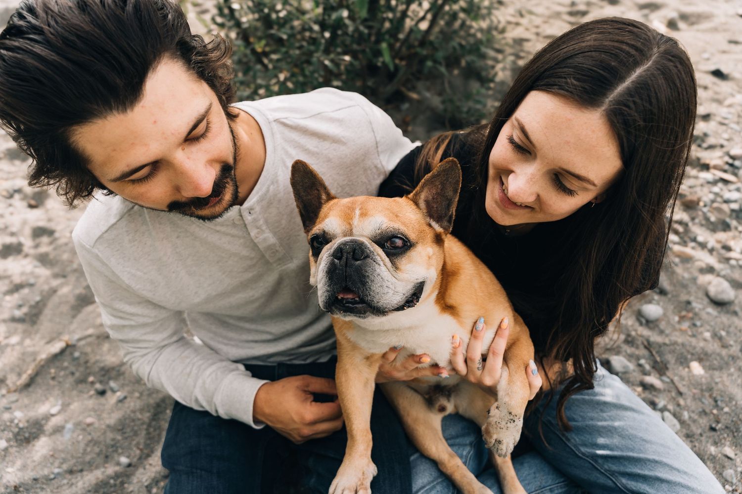A smiling couple sitting outdoors on sandy ground, happily holding a tan French Bulldog between them during a senior legacy session.