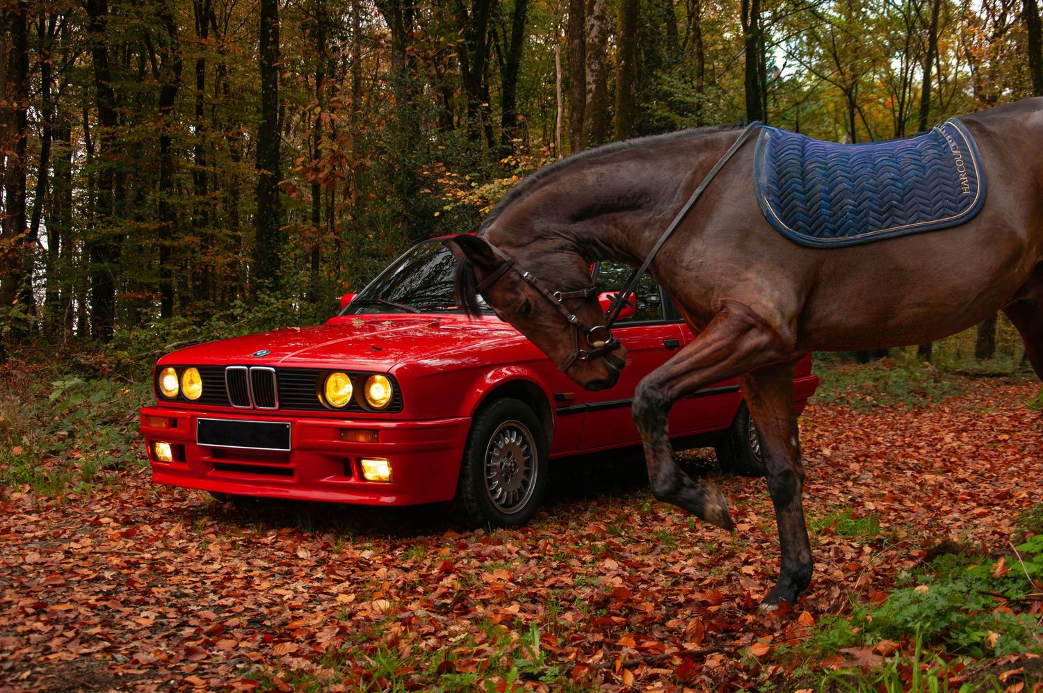 Ferrari F40