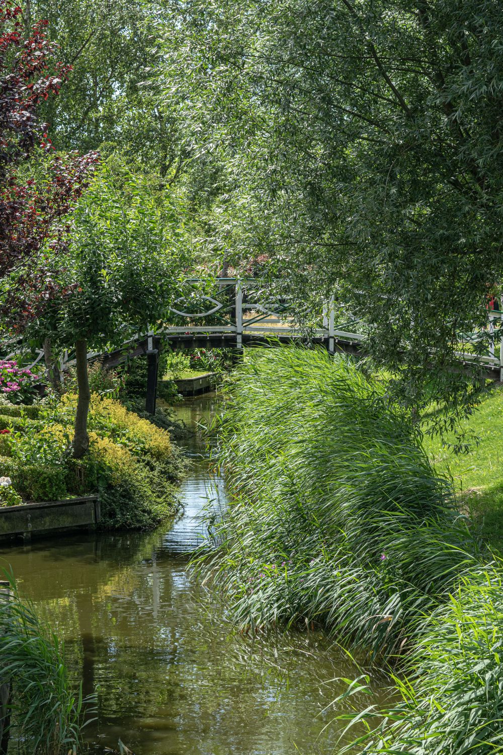 Serene garden path with wooden footbridge over narrow canal surrounded by lush greenery.