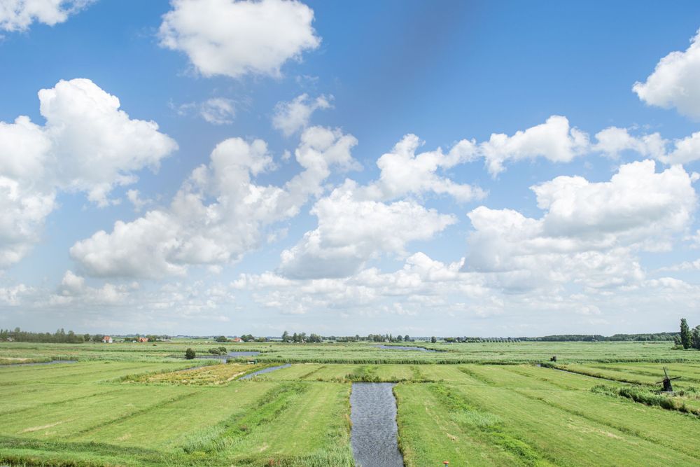 Green pastoral landscape with a narrow canal cutting through flat farmland under a cloudy Dutch sky.