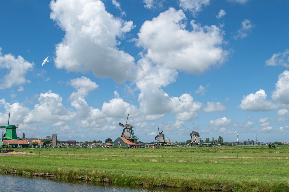 Traditional Dutch windmills line a green landscape with water canal and puffy clouds.