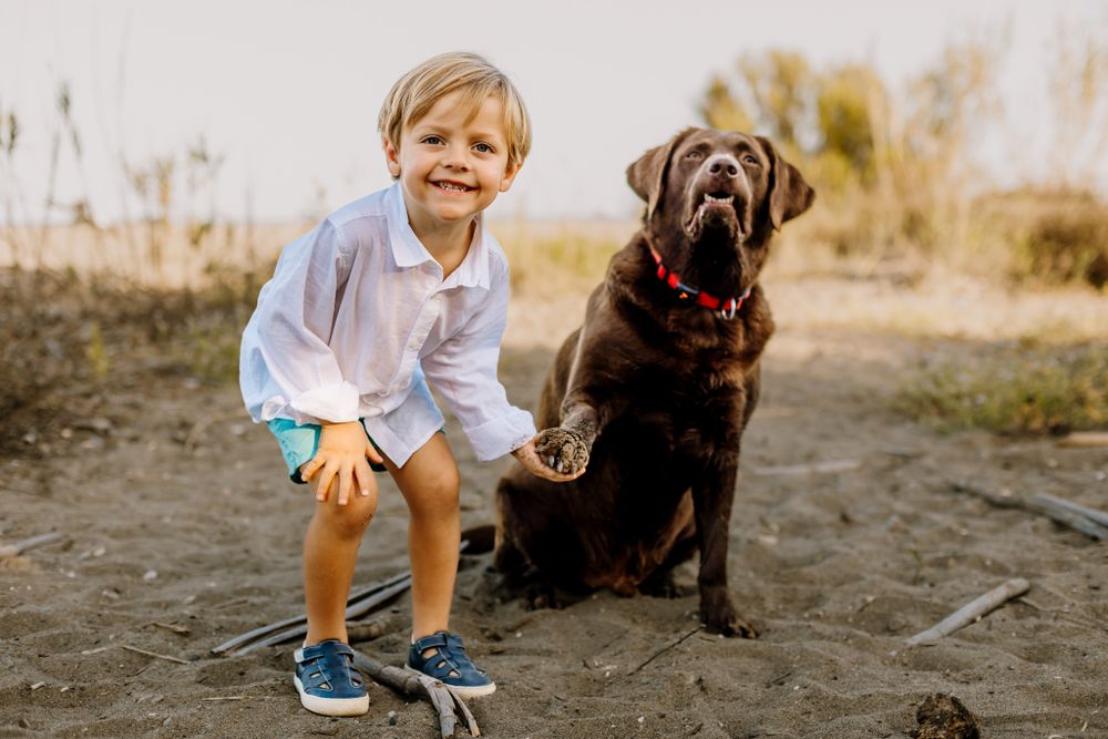 Forst, the dog, gives his paw to Rafa, the sweet boy, during the photoshoot.