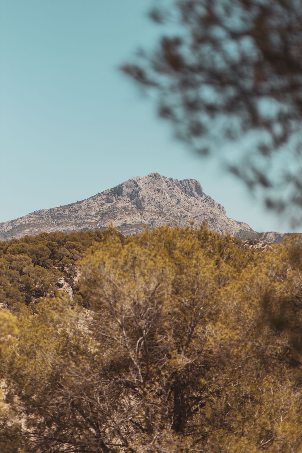 Rocky mountain peak rises above lush green trees under a clear blue sky, framed by blurred pine branches.