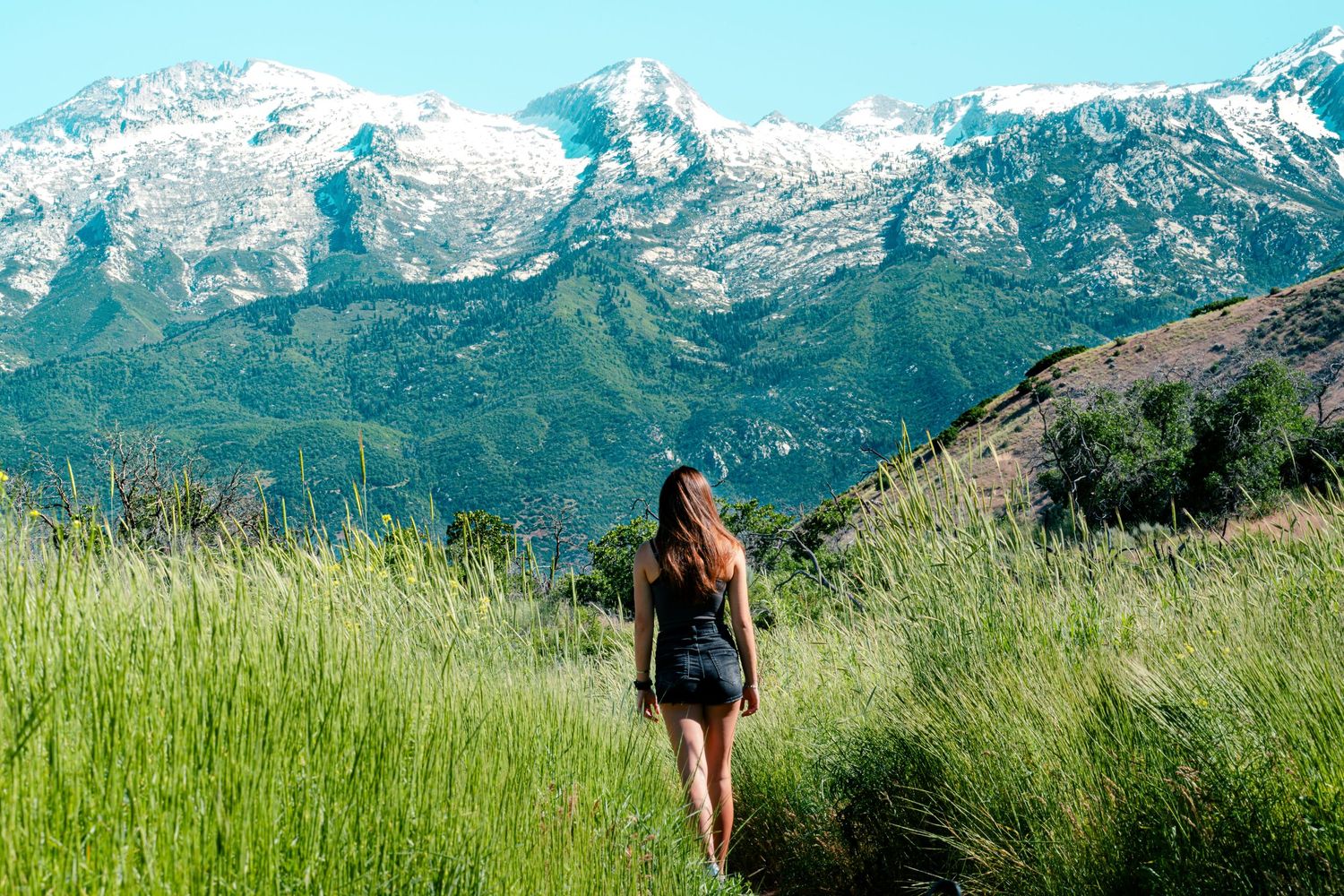 A hiker on a mountain trail gazes at snow-capped peaks rising against a blue sky.
