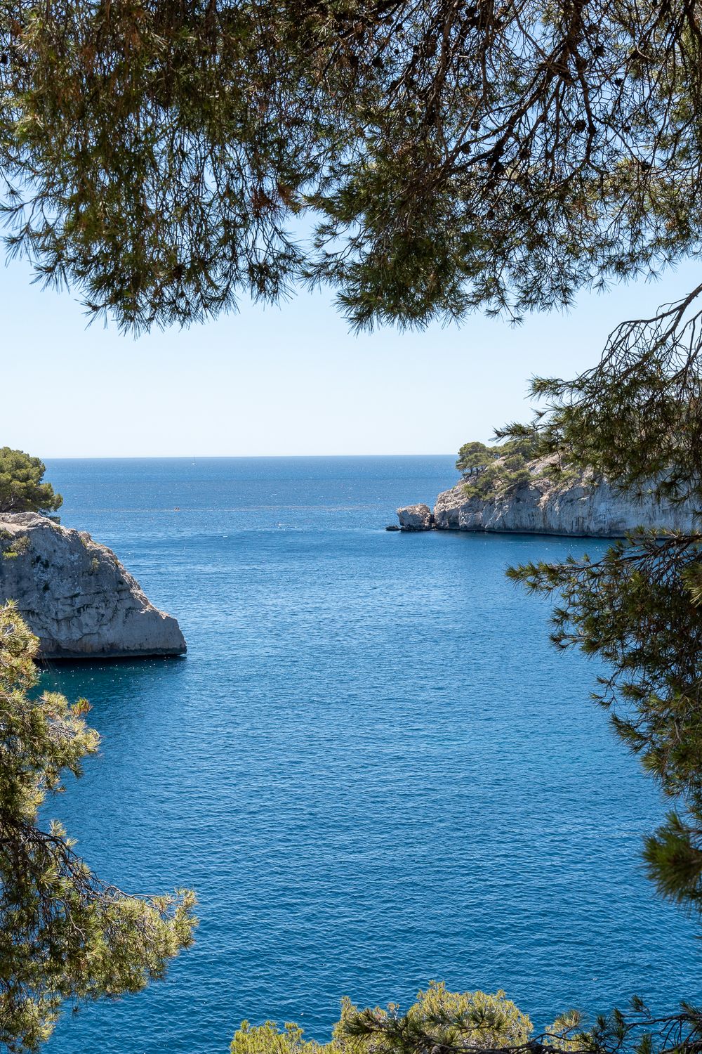 Crystal blue Mediterranean cove framed by pine trees and rocky cliffs.