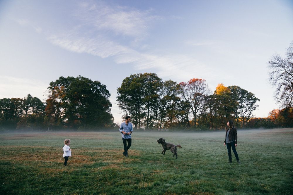 Family and dog playing together in misty field during sunrise.