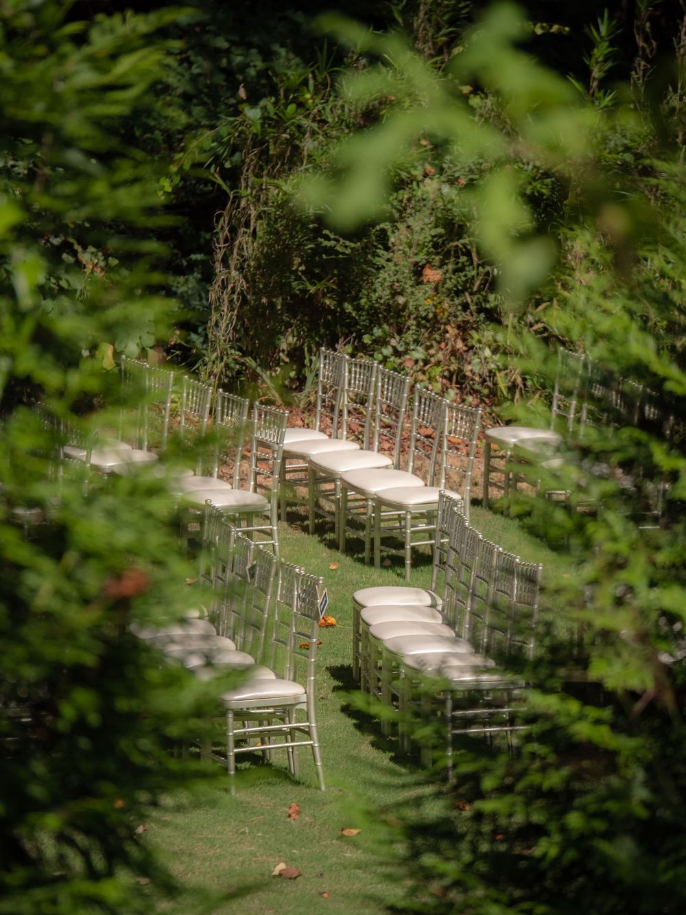 Rows of elegant chairs set up for an outdoor wedding ceremony viewed through foliage.