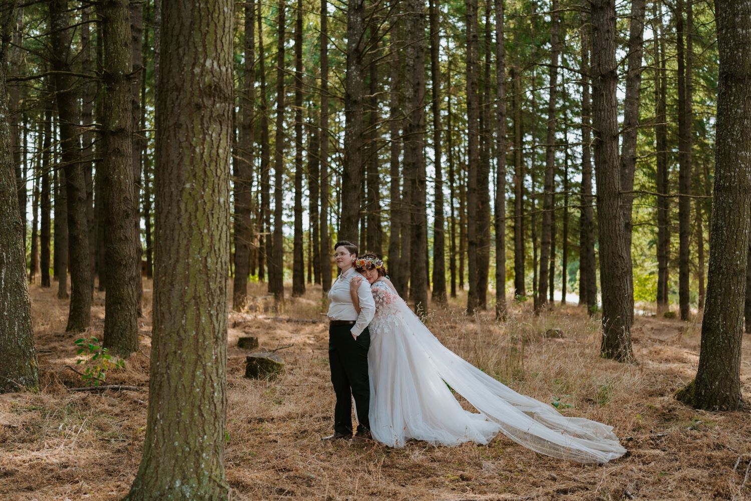Wedding couple embracing among tall pine trees in a serene forest setting.