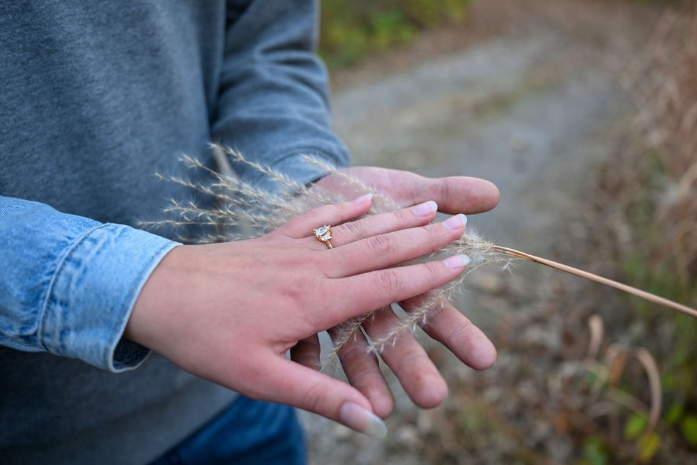 Close-up of a woman's hands gently holding feathery dried ornamental grass plumes outdoors on an autumn day near a gravel path.