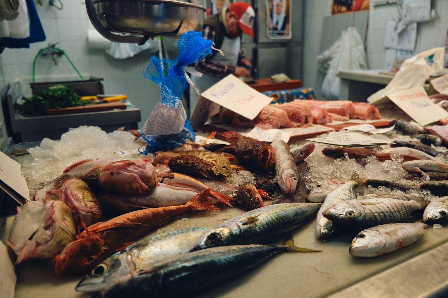Various fresh fish and seafood displayed on ice at market counter.