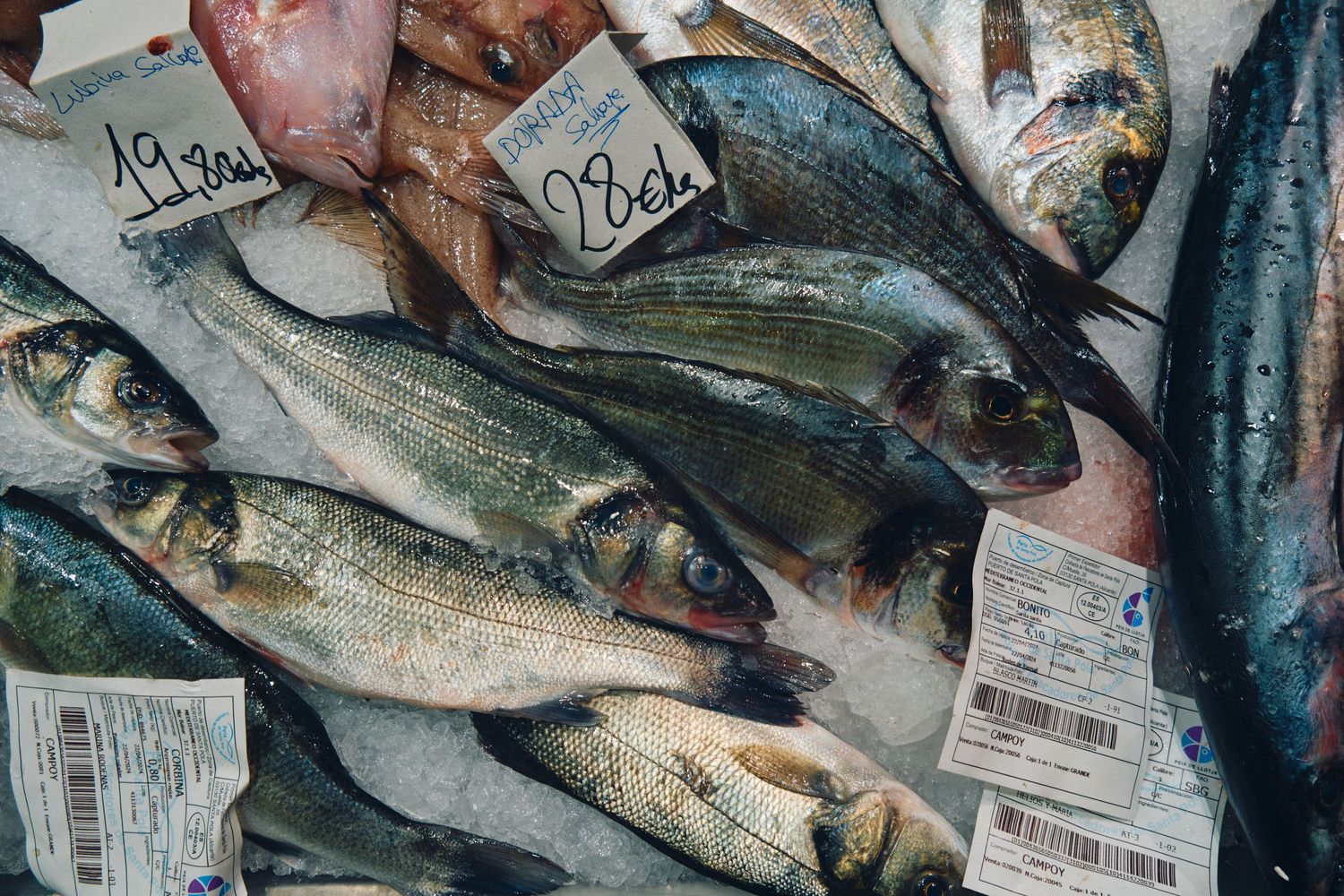 Fresh fish with price tags displayed on ice at seafood market.