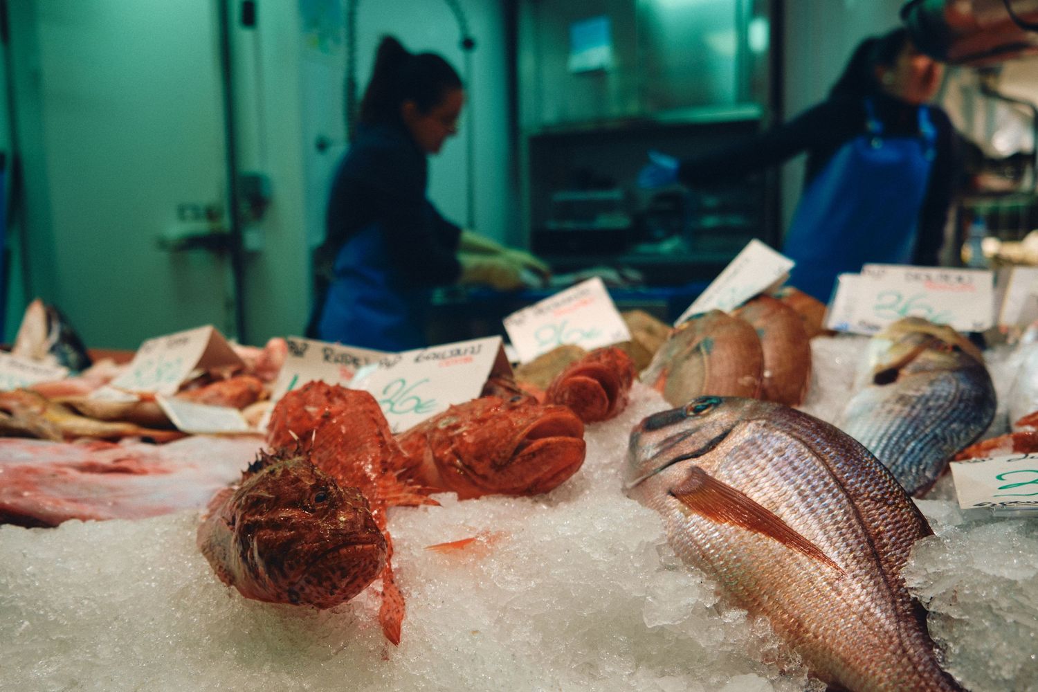 Fresh fish and seafood arranged on ice at market display counter.