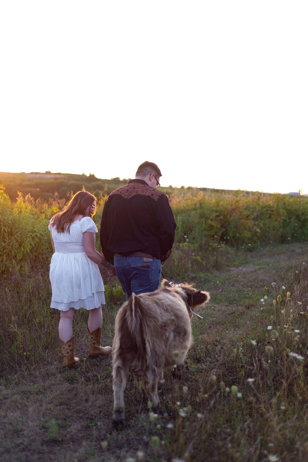 A person in white and another in dark clothing walk with a donkey through a rustic countryside field at sunset.