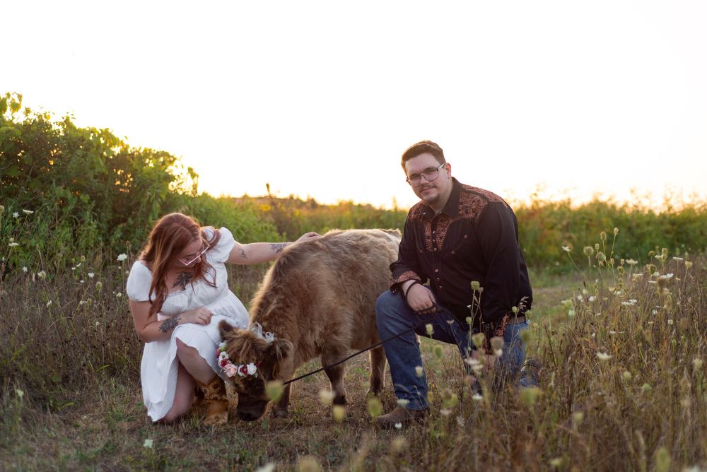 People and their dogs share a tender moment in a wildflower meadow at sunset while crouching together.