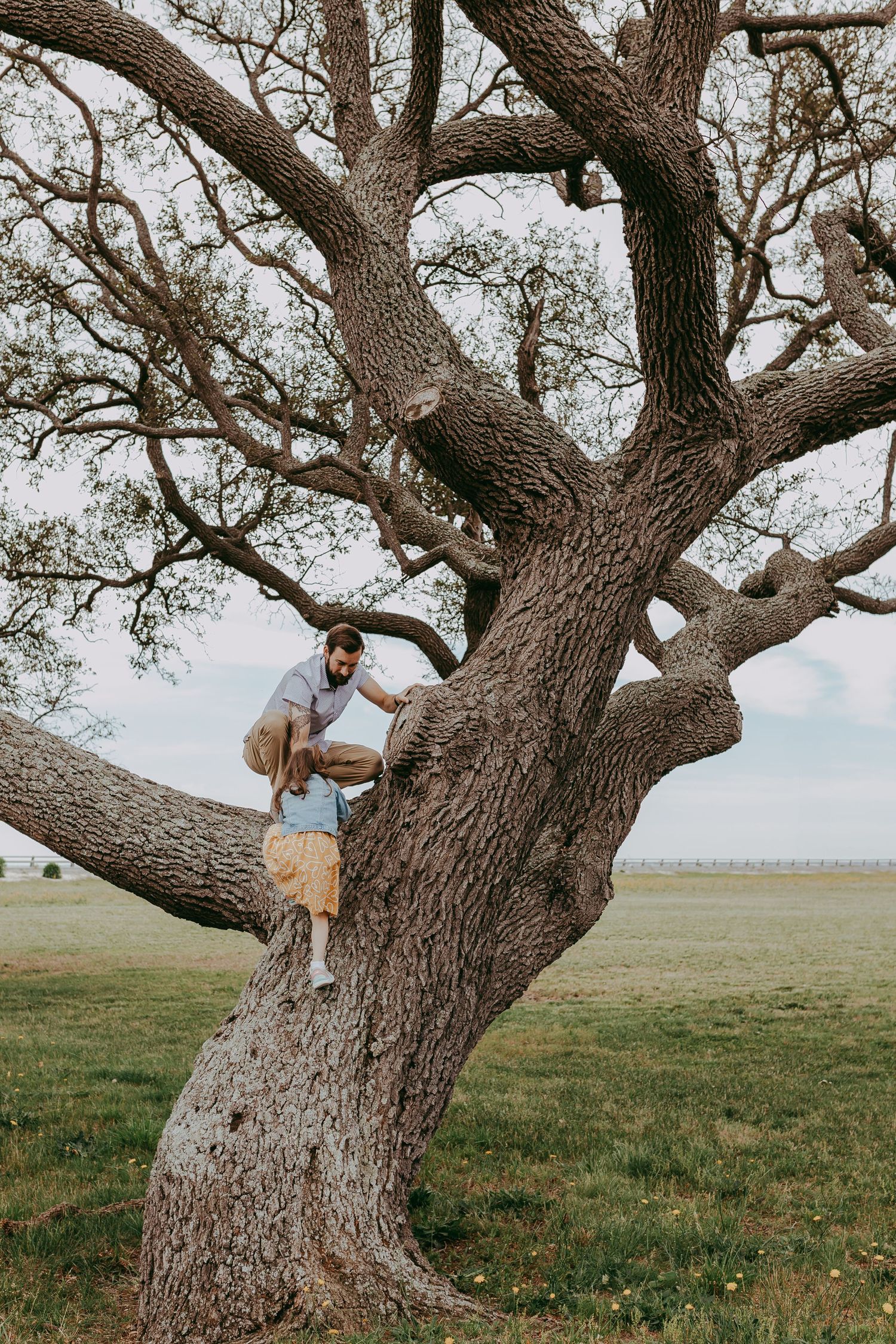 A man helps a child climb a large oak tree in a green field on a cloudy day. Whitney Popp, Phoenix AZ photographer
