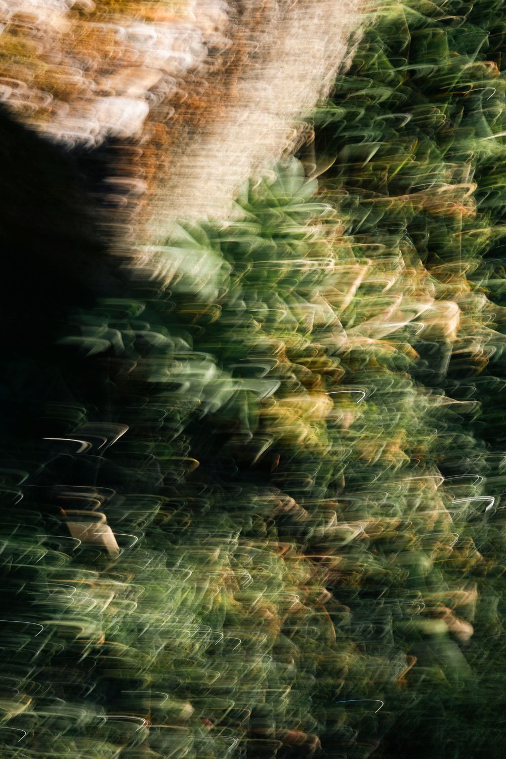 Abstract nature photography with motion blur effect showing green foliage against brick wall.
