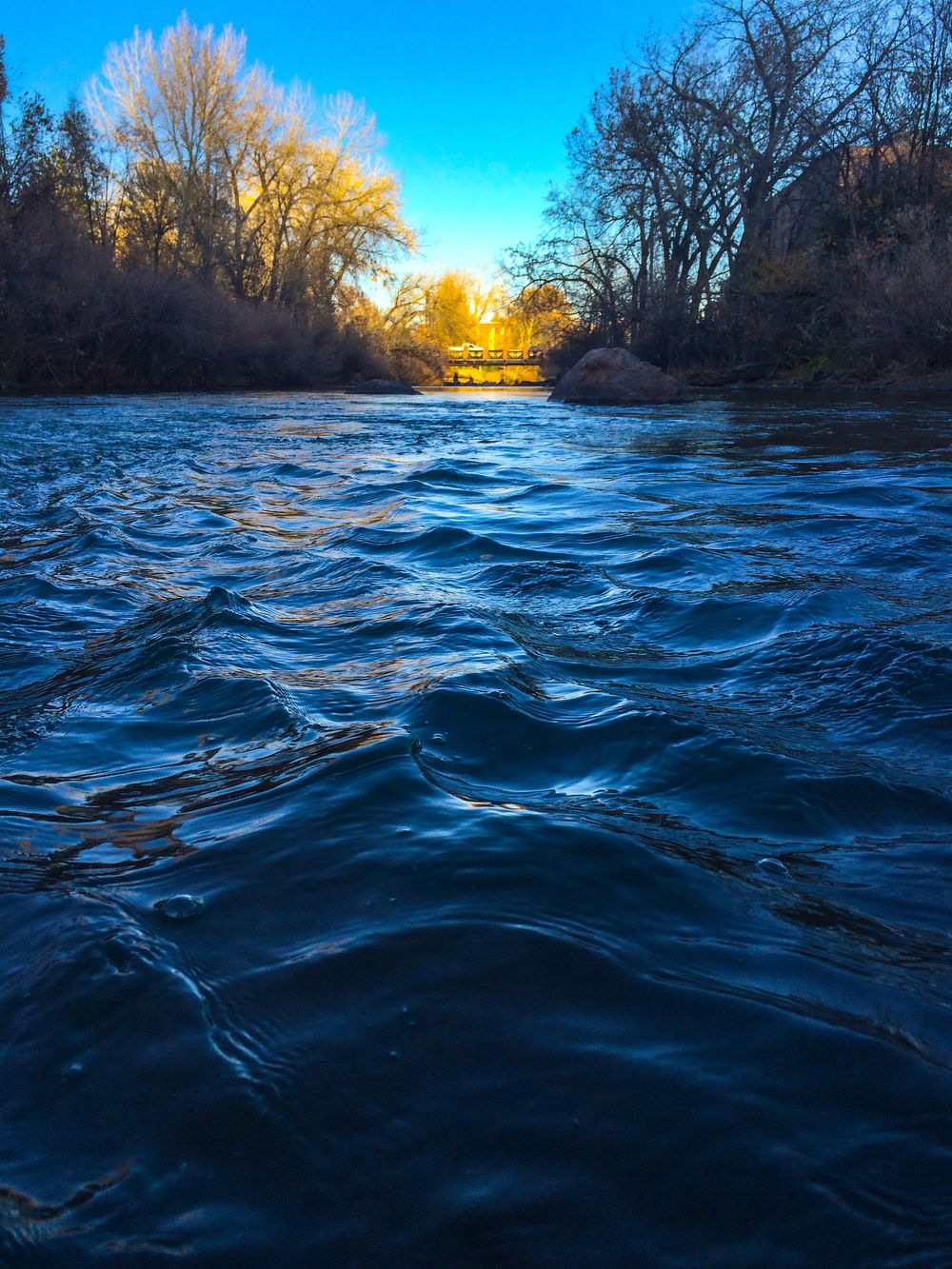 Deep blue river waters ripple beneath golden sunset sky framed by winter trees.