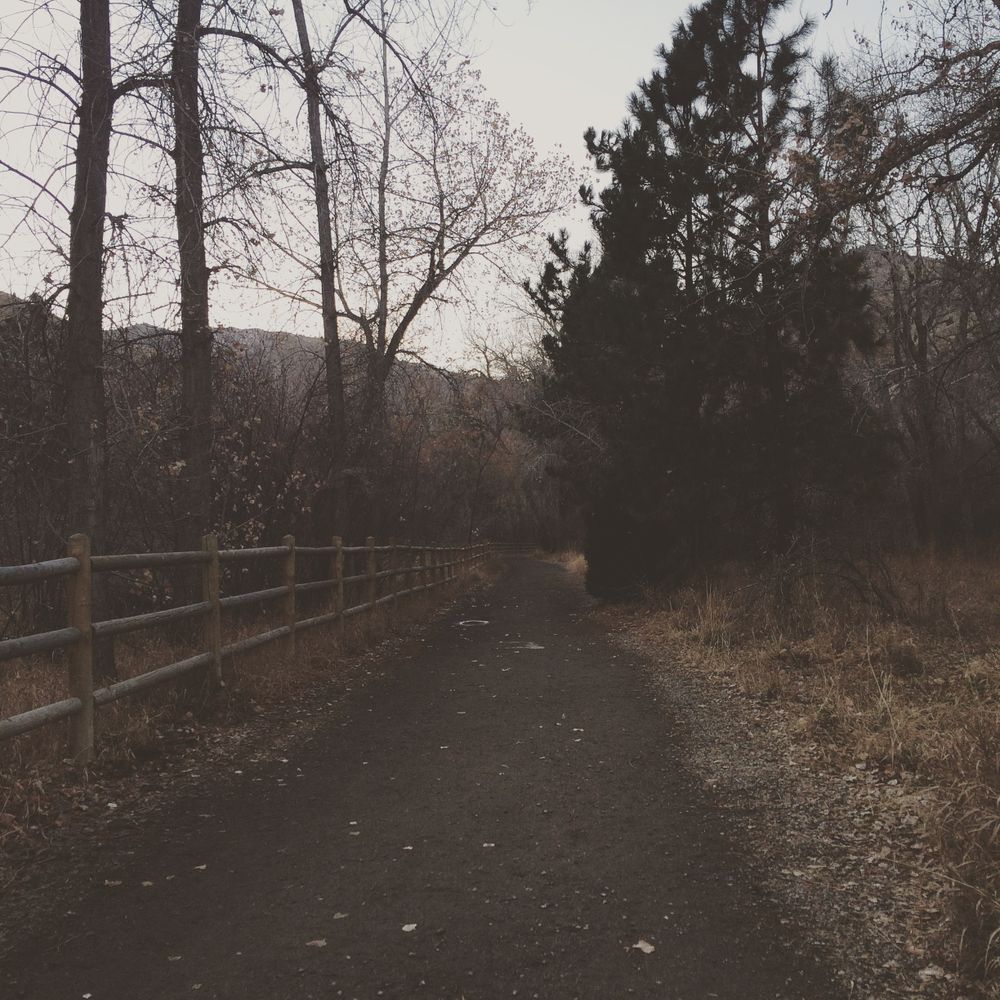 A winding dirt path with wooden fence leads through bare winter trees.