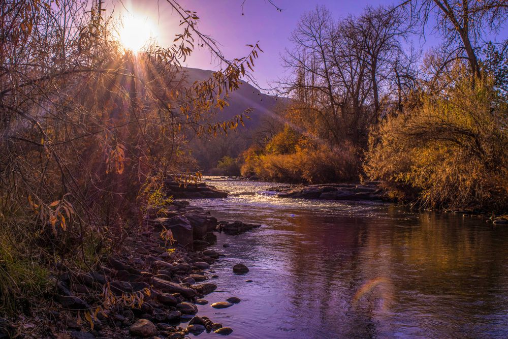 Golden sunburst through trees illuminates an autumn river landscape.