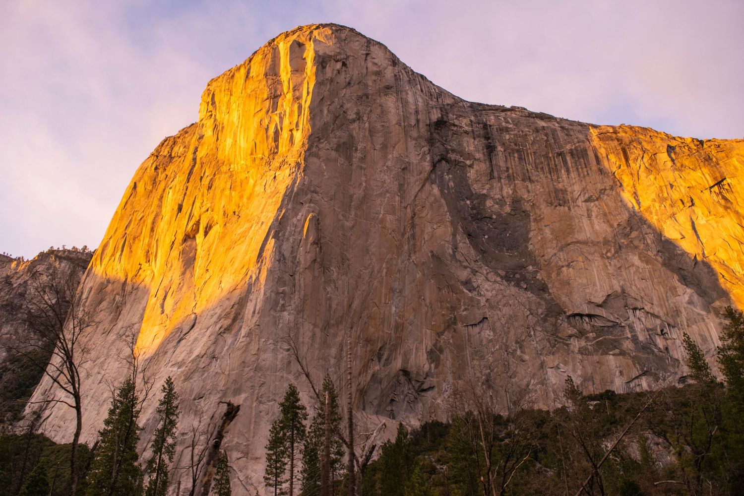 Majestic El Capitan cliff face glows golden in evening light at Yosemite National Park.