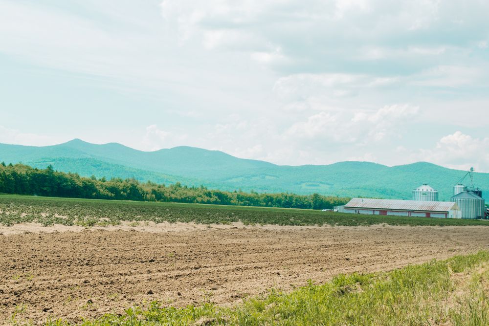 Maine Travels