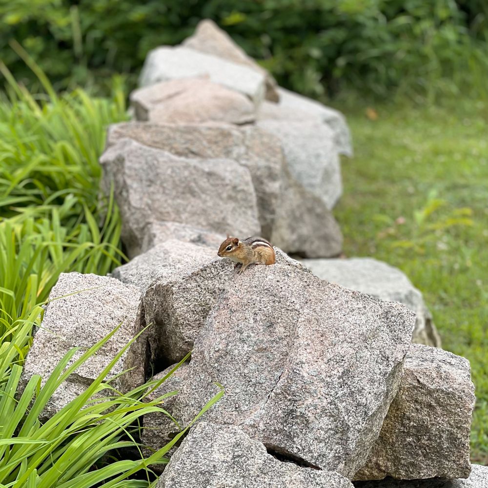 Maine Travels