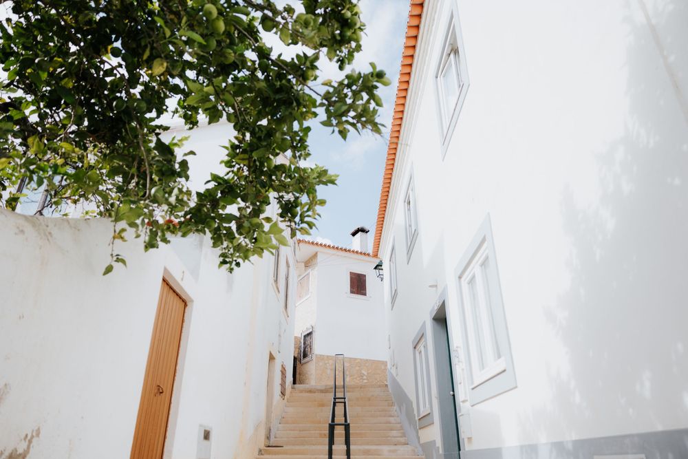 Whitewashed buildings with stone steps and a green tree in a charming Mediterranean alleyway.