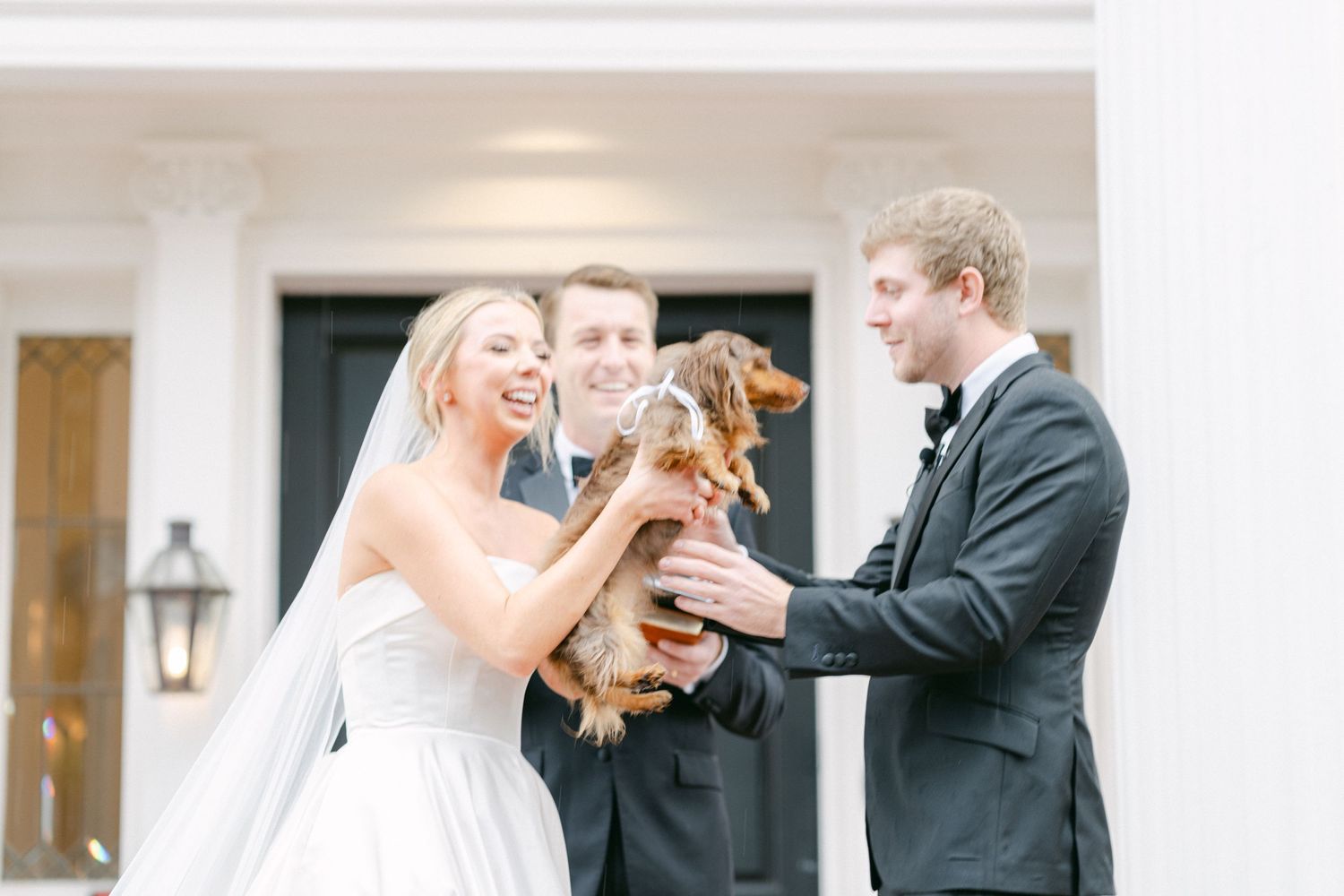 Woodbine Mansion Austin Texas Winter Wedding Fine Art Editorial Photography bride candid special guest dog Dachshund