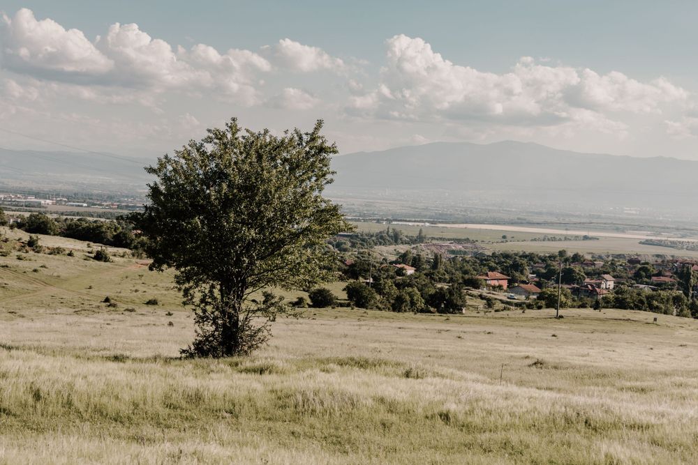 семейна фотосесия сред природата софия, фотосесия за бременни софия