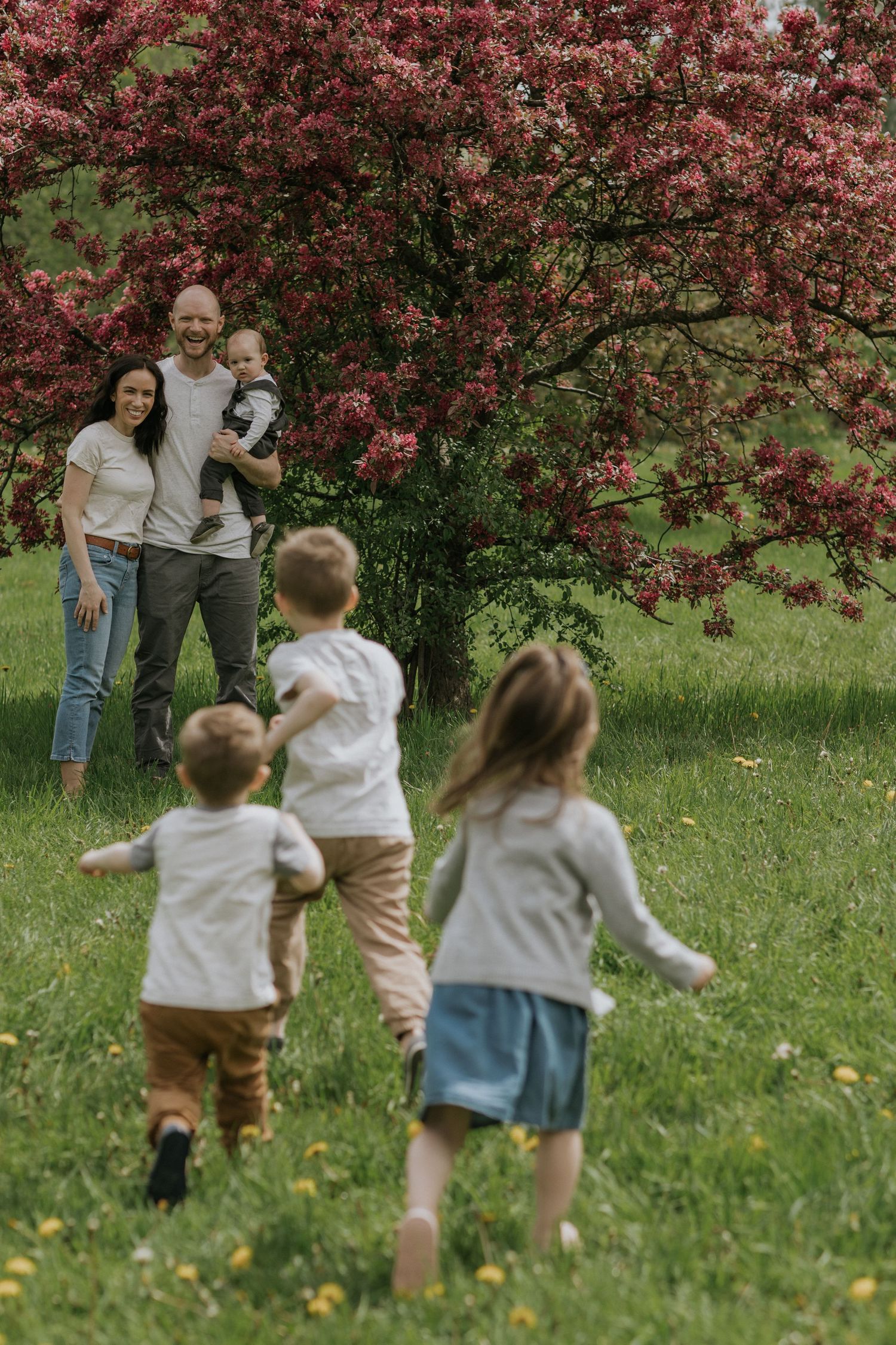 Children running playfully through grass under pink blooming trees while parents watch.
