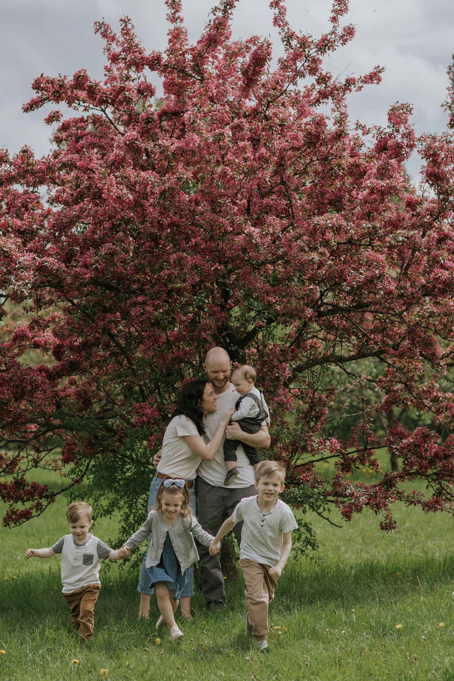 Family playing chase games together on green grass beneath pink flowering trees.