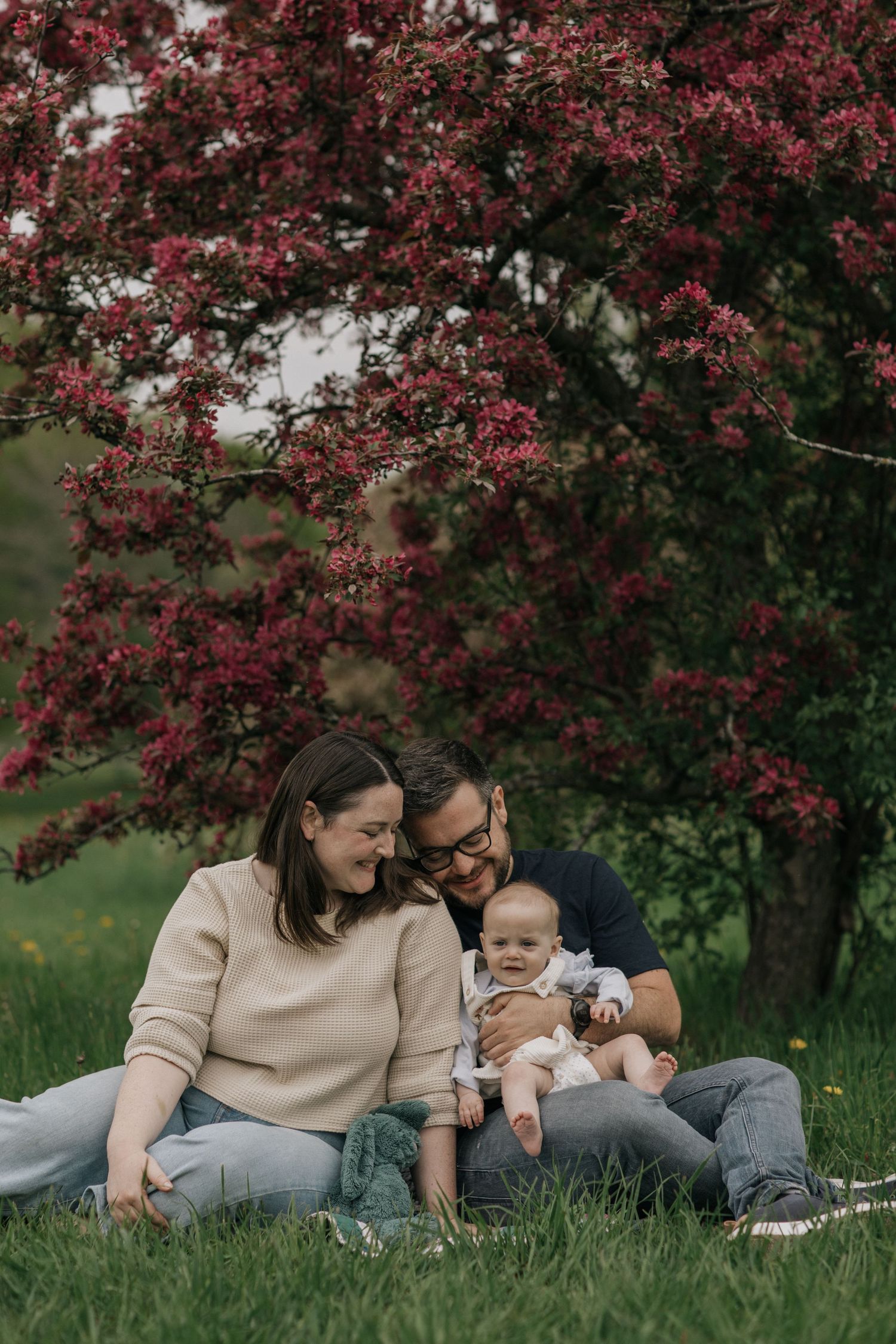 Happy family sharing intimate moment while sitting under blooming tree in spring garden.