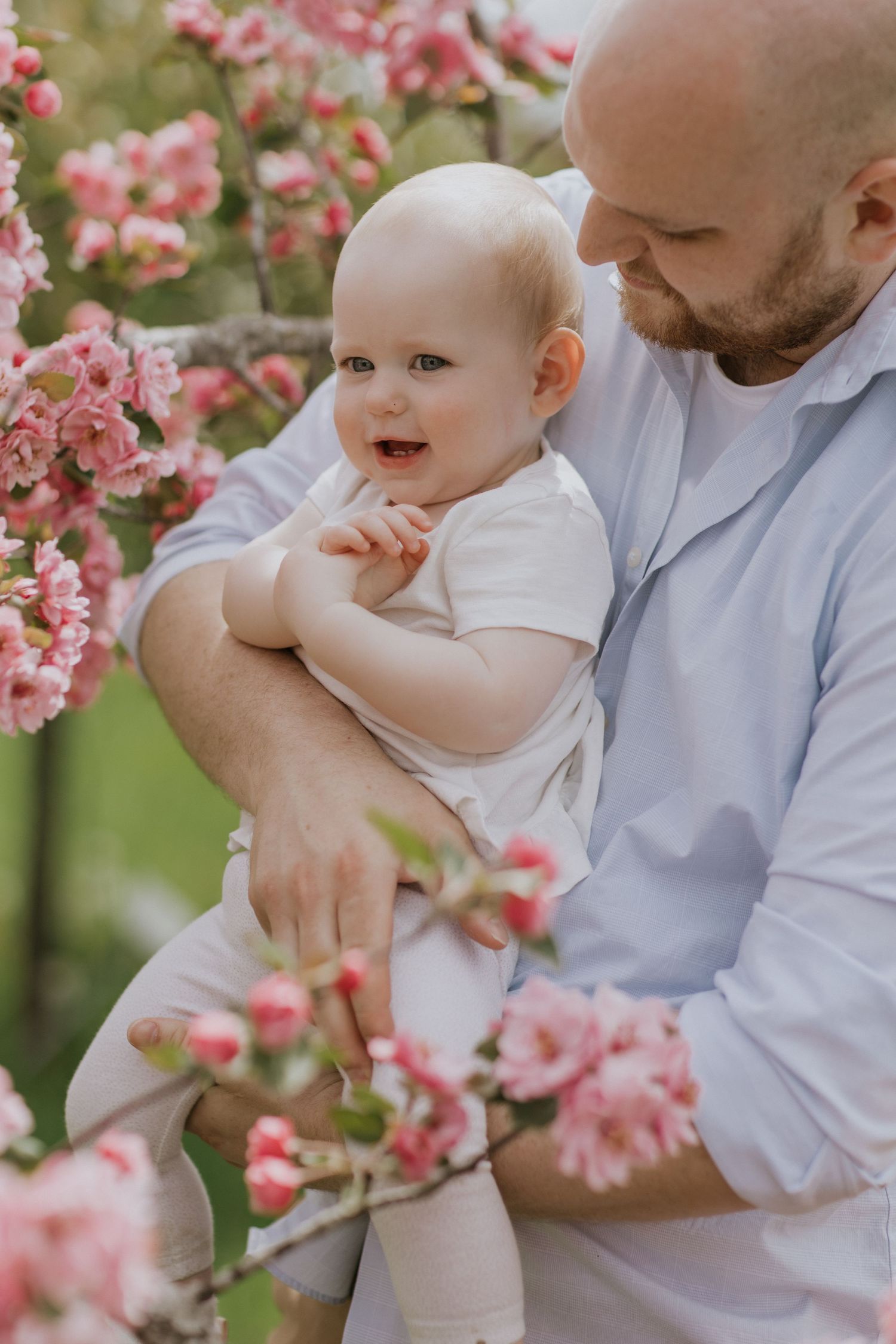 Dad holding smiling baby near pink flowering tree branches in outdoor spring setting.