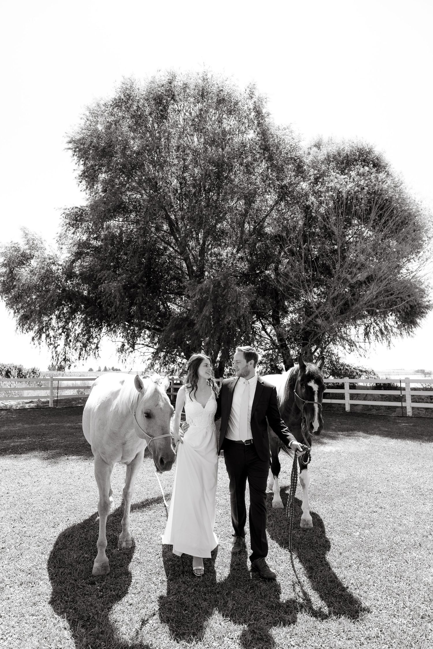 A black and white wedding photo under a large tree with two horses and a couple in formal attire at a farm.