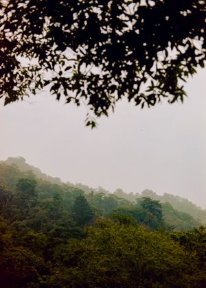Taiwan film landscape photography; Seattle & Taiwan commercial film photographer.