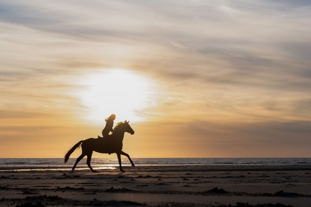 Silhouette of a horse and rider galloping on a beach at sunset with golden clouds in the sky.