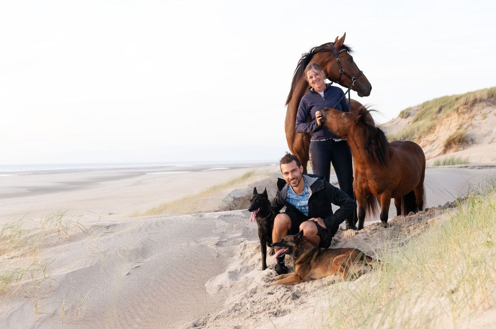 A horse and rider relax on a sandy beach dune during a peaceful sunset moment.