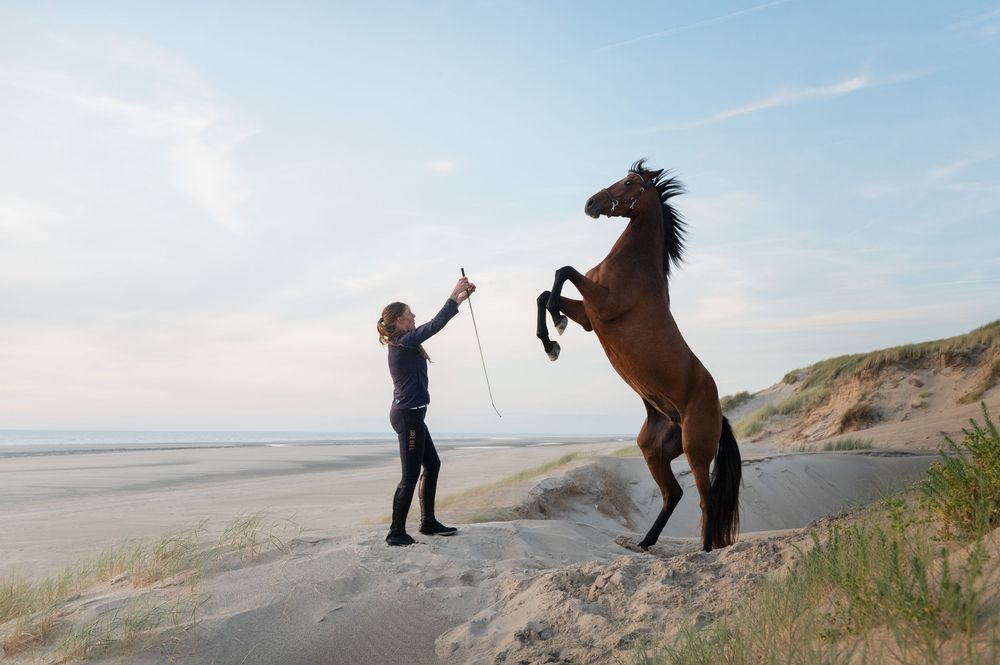 A silhouetted figure and horse stand together against a scenic beach landscape at sunset.