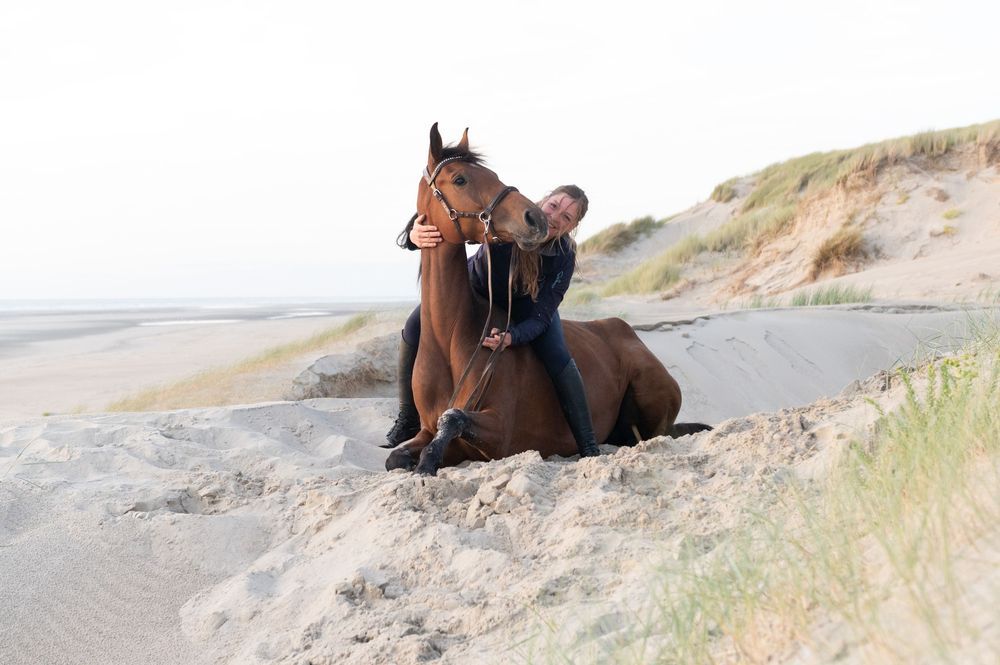 Horse and rider resting together on a scenic coastal sand dune overlooking the beach.