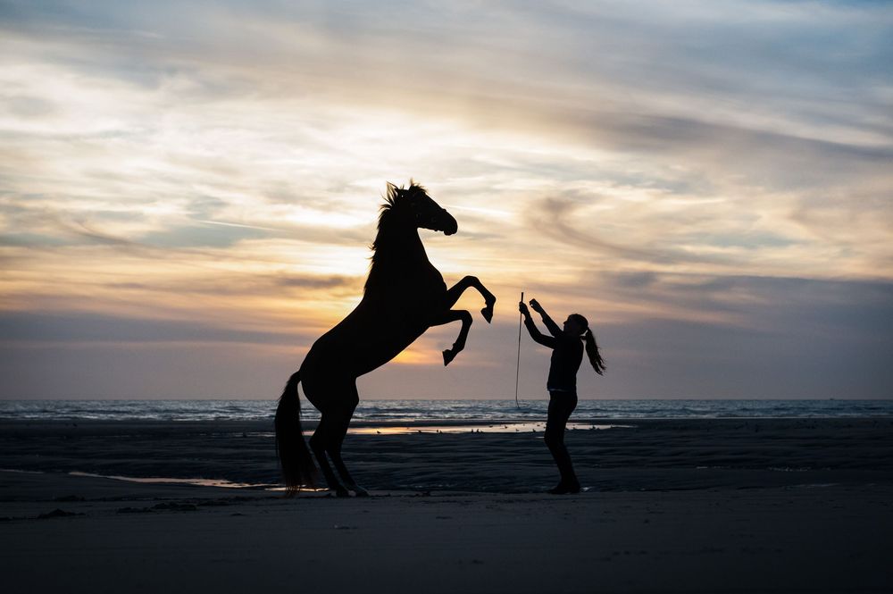 Silhouette of a horse rearing up on a beach at sunset with a person nearby creating a dramatic scene against the sky.