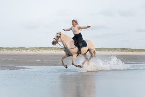 A rider galloping on horseback through shallow ocean water along a beach shore during overcast weather.