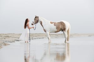 A white horse and person in a flowing dress standing together on a misty beach with reflective wet sand.