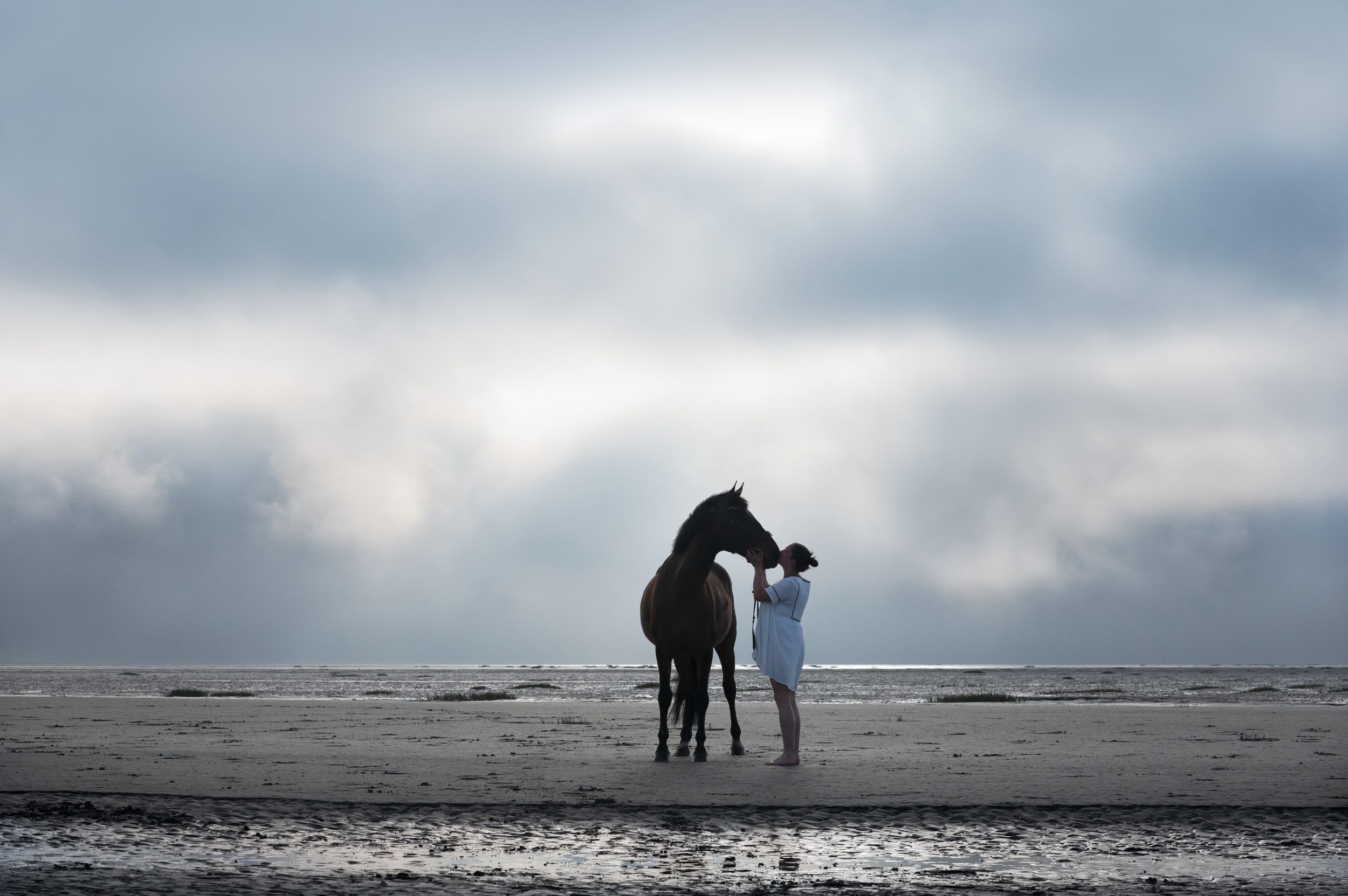 A silhouetted figure stands with a horse on a misty beach under dramatic cloudy skies at sunset.