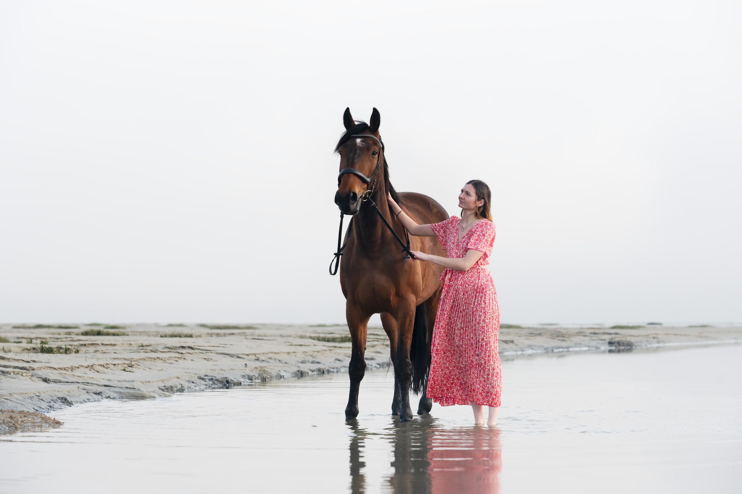 A person in a pink dress stands with their dark brown horse in shallow beach water during a misty day.