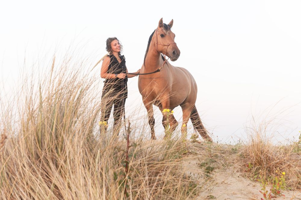 A beautiful chestnut horse stands with its handler among tall beach grass on sandy dunes at sunset.
