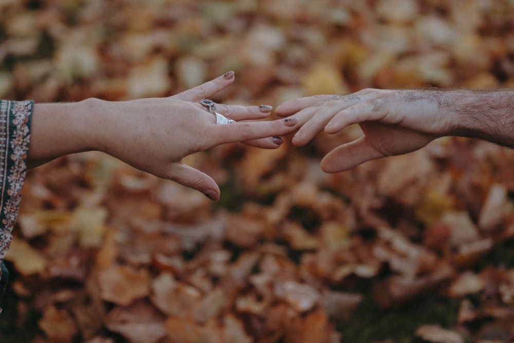 Close-up of hands reaching towards each other against a background of fallen autumn leaves.