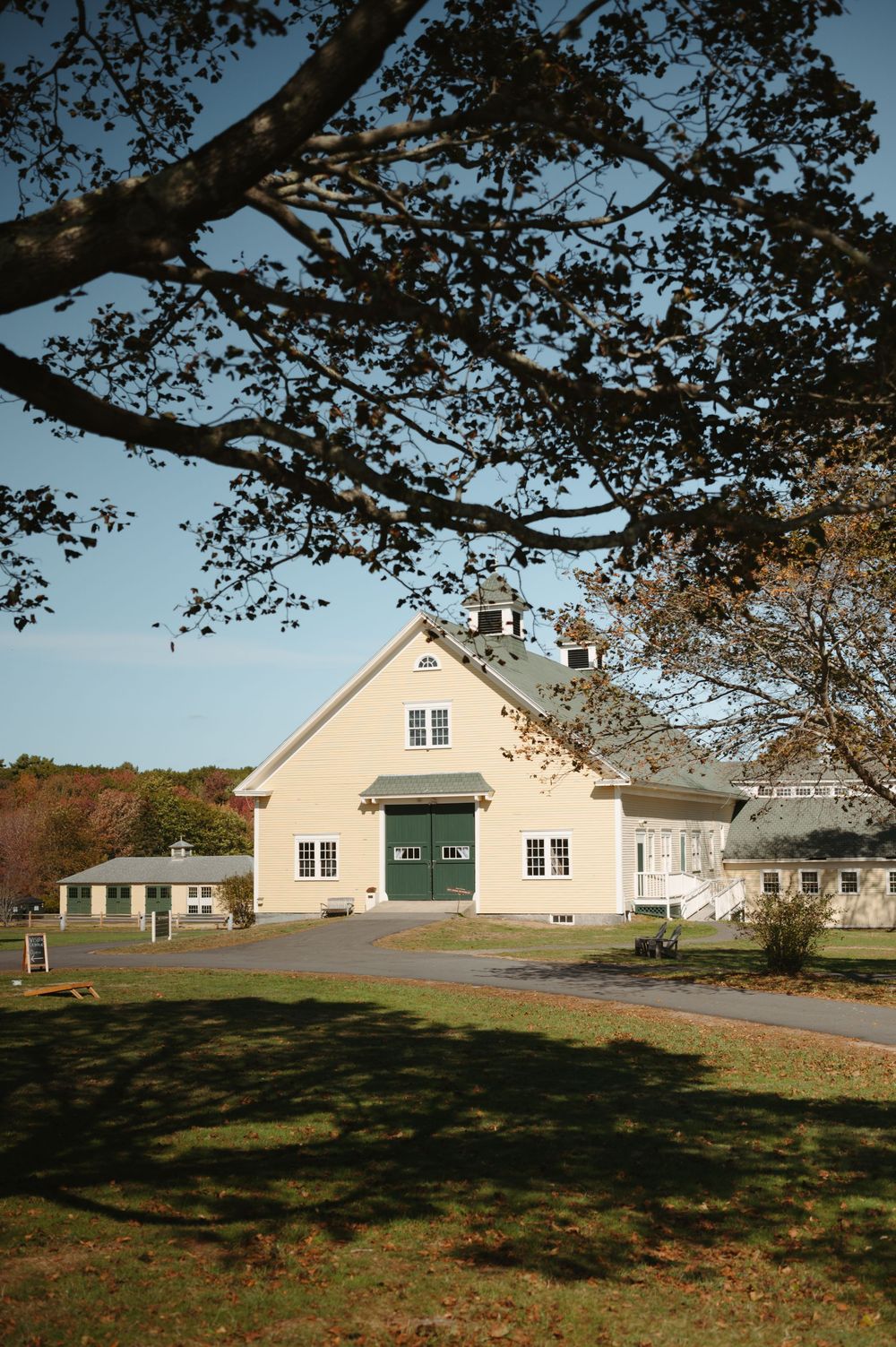 A classic New England style barn with cream colored siding and green doors stands on a grassy hill under overhanging tree branches.