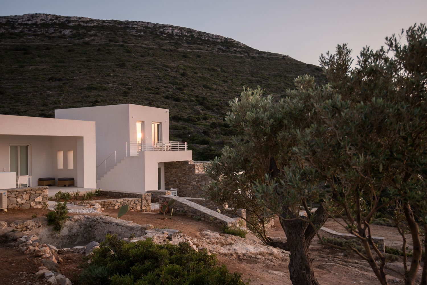 Contemporary white villa nestled among olive trees against mountainous backdrop at dusk.