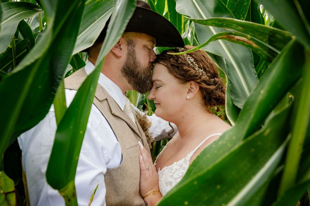 Couple sharing a romantic moment surrounded by lush green corn stalks, groom in hat and vest, bride in white lace dress.